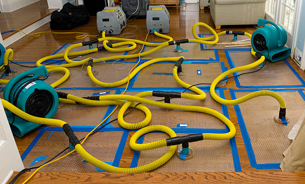 Professional Crawl Space Water Removal technician working in Santa Margarita, CA